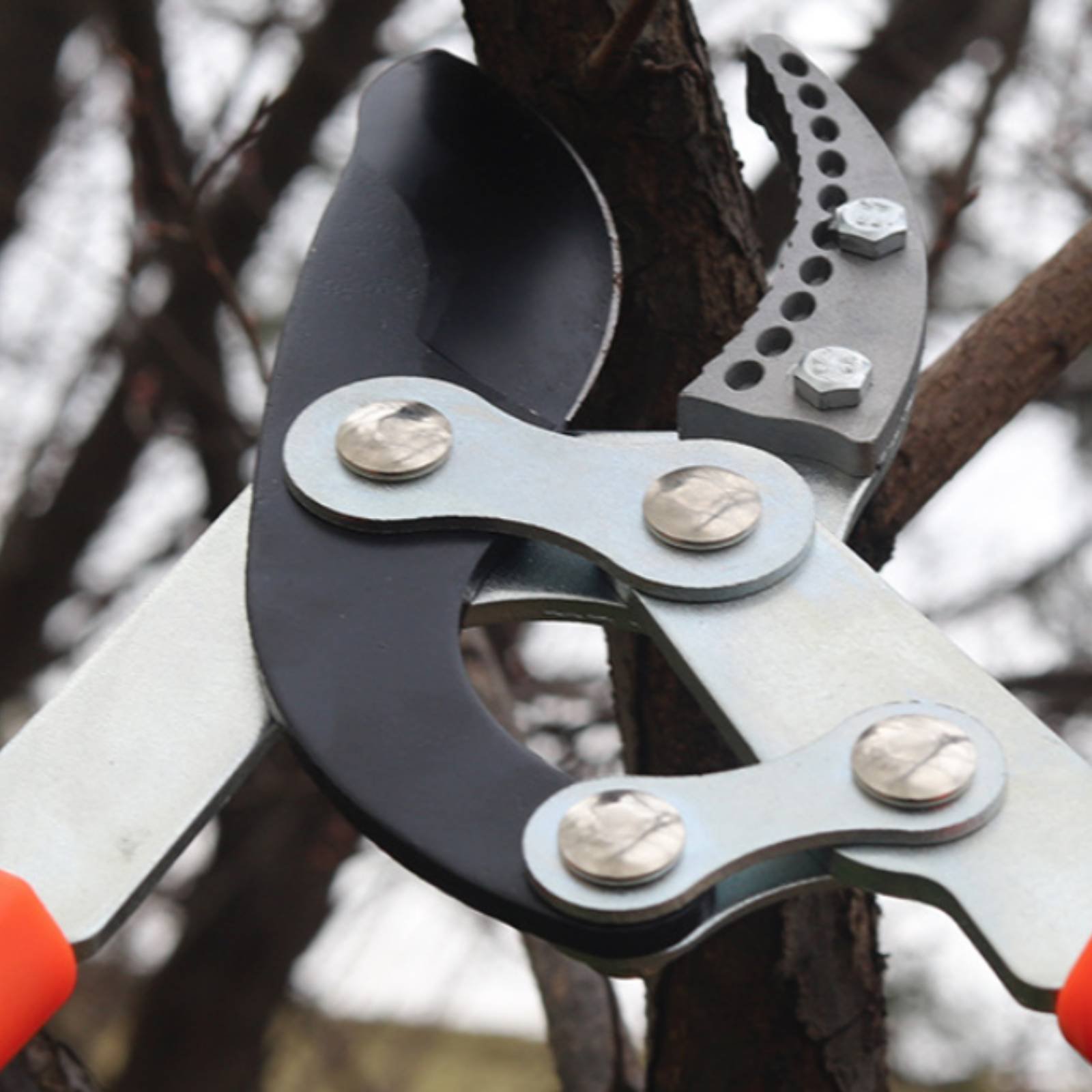 Garden Tools - Forbici Telescopiche per Potatura con Lama