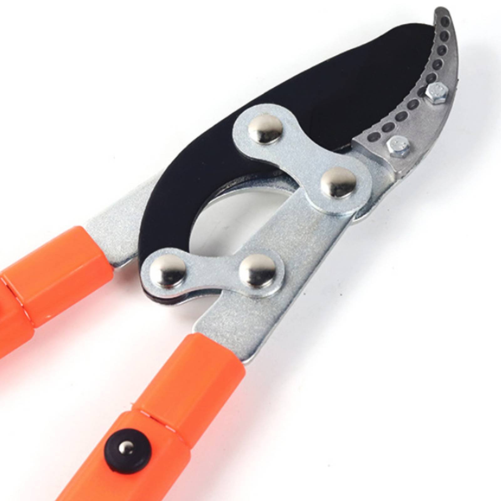Forbici Telescopiche per Potat - Garden Tools recensione e prezzo